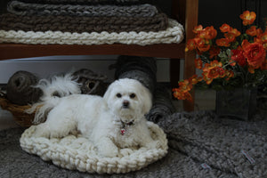 Pet Beds